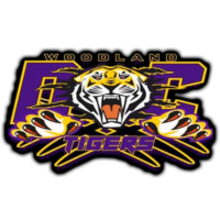 DMV Tigers